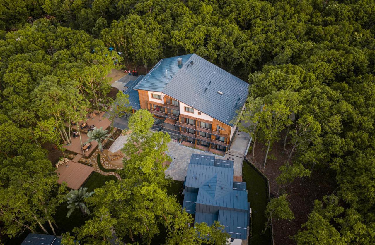 בורגאס Utopia Forest מראה חיצוני תמונה